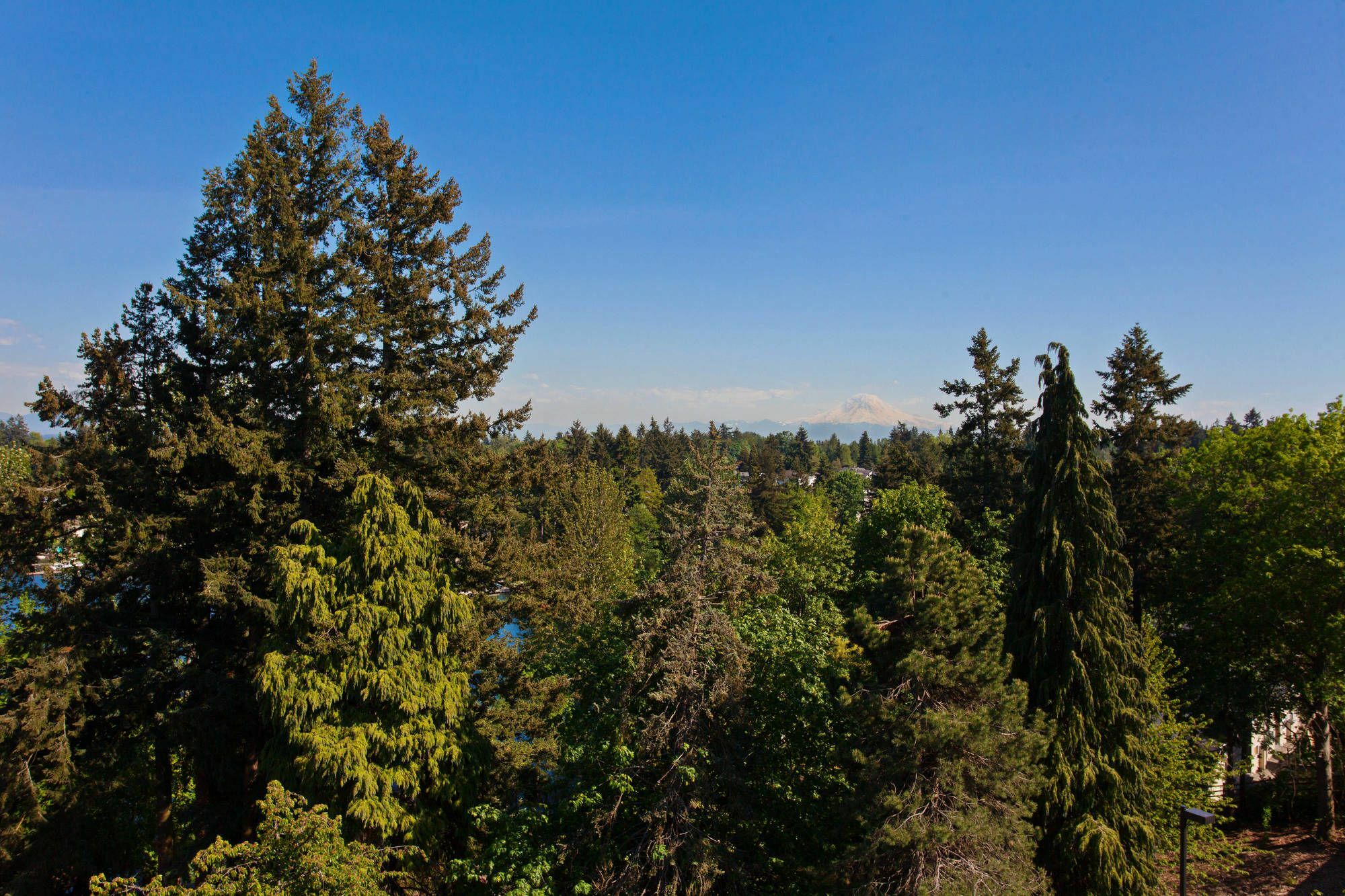Residence Inn By Marriott Seattle Sea-Tac Airport Ситак Экстерьер фото
